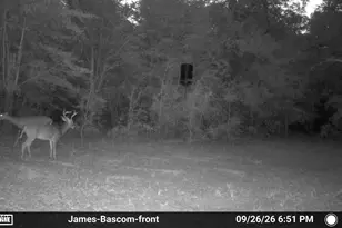 5963 Neals Landing Rd, Bascom, FL 32423 - Photo 22