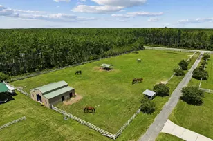 9611 Steel Field Rd, Panama City Beach, FL 32413 - Photo 46