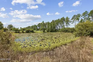 9611 Steel Field Rd, Panama City Beach, FL 32413 - Photo 36