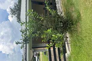 402 E Iowa Ave, Bonifay, FL 32425 - Photo 34