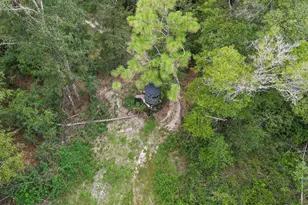 2576 S Hwy 173, Bonifay, FL 32425 - Photo 46