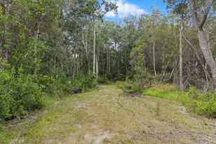 2576 S Hwy 173, Bonifay, FL 32425 - Photo 44