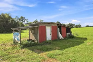 972 Sewell Farms Rd, Chipley, FL 32428 - Photo 26