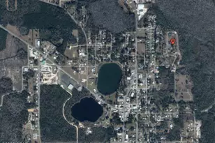 0 Charlie Gaskin Dr, Wewahitchka, FL 32465 - Photo 1