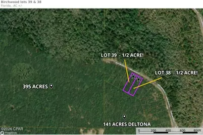 Lot 38 Birchwood Drive, Chipley, FL 32428 - Photo 4
