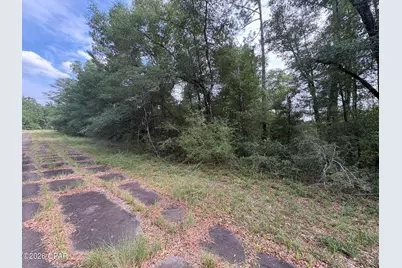 Lot 38 Birchwood Drive, Chipley, FL 32428 - Photo 2