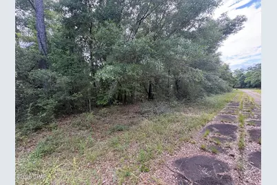 Lot 39 Birchwood Drive, Chipley, FL 32428 - Photo 2