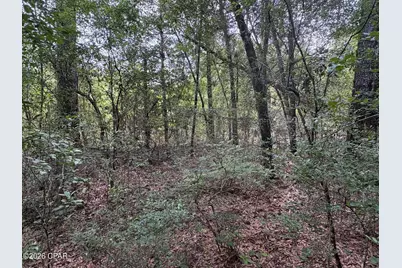 Lot 39 Birchwood Drive, Chipley, FL 32428 - Photo 8