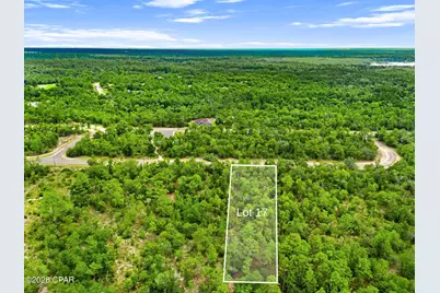 0 Firwood Avenue #Lot 17, Chipley, FL 32428 - Photo 8