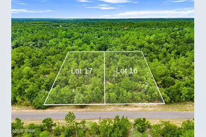 0 Firwood Avenue #Lot 17, Chipley, FL 32428 - Photo 16