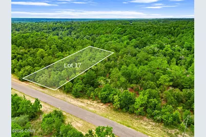 0 Firwood Avenue #Lot 17, Chipley, FL 32428 - Photo 6