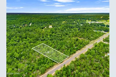 0 Firwood Avenue #Lot 17, Chipley, FL 32428 - Photo 12