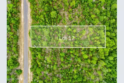 0 Firwood Avenue #Lot 17, Chipley, FL 32428 - Photo 1