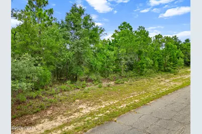 0 Firwood Avenue #Lot 17, Chipley, FL 32428 - Photo 14