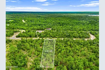 0 Firwood Avenue #Lot 16, Chipley, FL 32428 - Photo 10