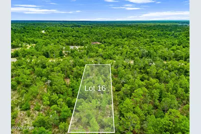 0 Firwood Avenue #Lot 16, Chipley, FL 32428 - Photo 12