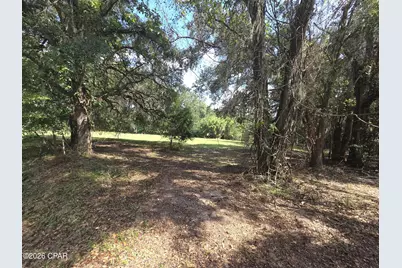Xxx Live Oak Lane, Blountstown, FL 32424 - Photo 2