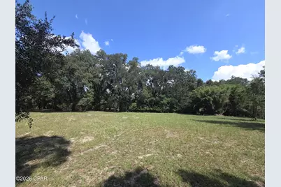 Xxx Live Oak Lane, Blountstown, FL 32424 - Photo 4