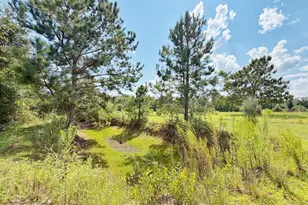 3280 Willie Ln, Cottondale, FL 32431 - Photo 56