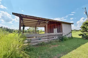 3280 Willie Ln, Cottondale, FL 32431 - Photo 8