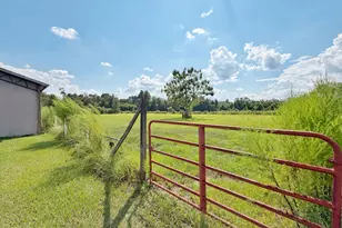 3280 Willie Ln, Cottondale, FL 32431 - Photo 40