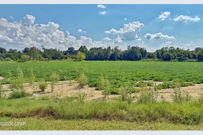 3280 Willie Lane, Cottondale, FL 32431 - Photo 52