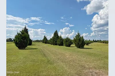 3280 Willie Lane, Cottondale, FL 32431 - Photo 48
