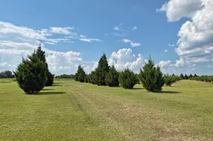 3280 Willie Ln, Cottondale, FL 32431 - Photo 48