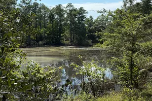 5110 Hwy 273, Campbellton, FL 32426 - Photo 1