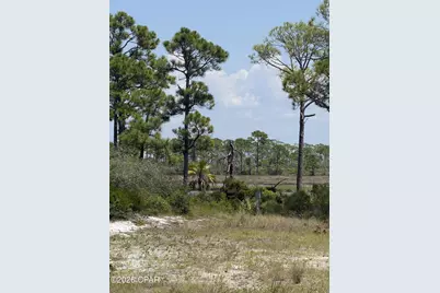 4746 Cape San Blas Road, Port Saint Joe, FL 32456 - Photo 2