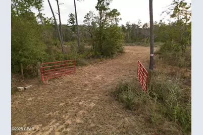 421 Tinker Lane, Chipley, FL 32428 - Photo 4