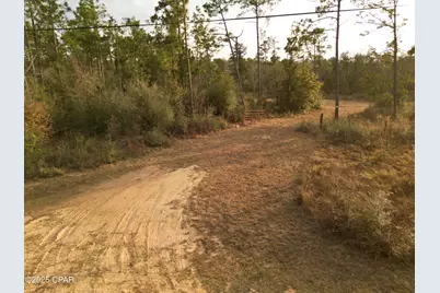 421 Tinker Lane, Chipley, FL 32428 - Photo 6