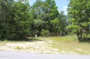 Tbd New Jerusalem Rd, Vernon, FL 32462 - Photo 1