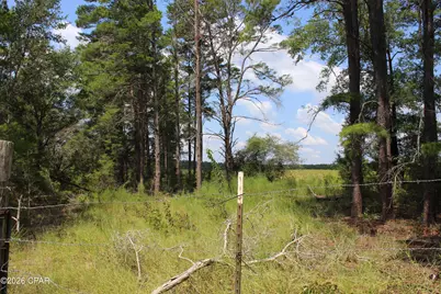 Tbd New Jerusalem Road, Vernon, FL 32462 - Photo 12