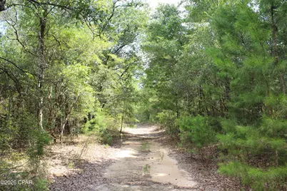 Tbd New Jerusalem Road, Vernon, FL 32462 - Photo 6