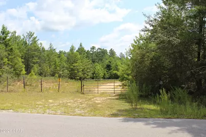 Tbd New Jerusalem Road, Vernon, FL 32462 - Photo 10