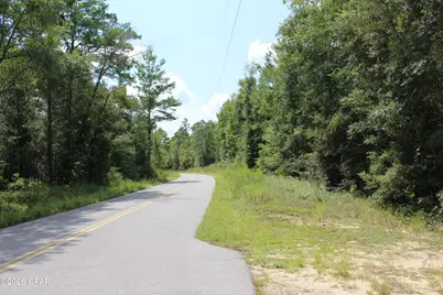 Tbd New Jerusalem Road, Vernon, FL 32462 - Photo 8