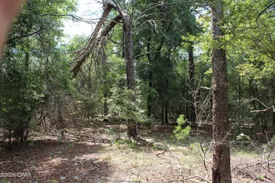 Tbd New Jerusalem Road, Vernon, FL 32462 - Photo 4
