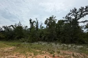 Lot 3 Lanai Ct, Alford, FL 32420 - Photo 1