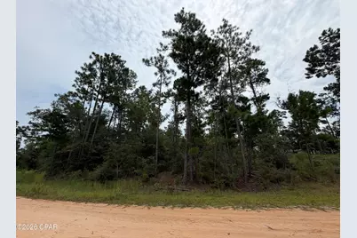 Lot 12 Postpile Circle, Alford, FL 32420 - Photo 2
