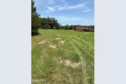 2848 Jessie O Lewis Road, Bonifay, FL 32425 - Photo 32