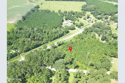 0000 Canary Road, Graceville, FL 32440 - Photo 6