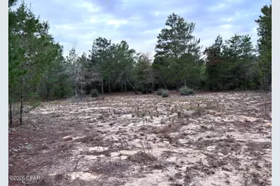 00 Fairhaven Drive #Lot 10, Chipley, FL 32428 - Photo 2