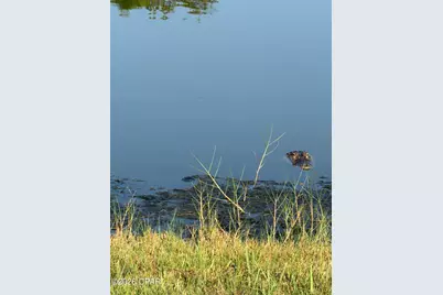 270 Pruett Road, Eastpoint, FL 32328 - Photo 12