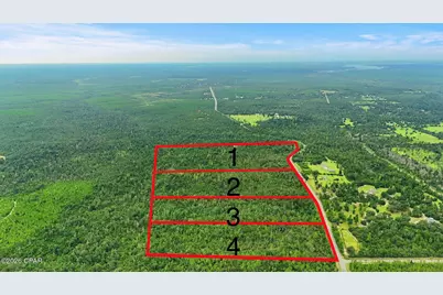 000 Blue Springs Road #Parcel 1, Youngstown, FL 32466 - Photo 4