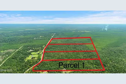 000 Blue Springs Road #Parcel 1, Youngstown, FL 32466 - Photo 1