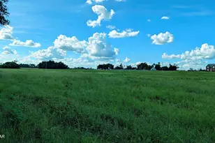 0 Chestnut Ln, Greenwood, FL 32443 - Photo 1