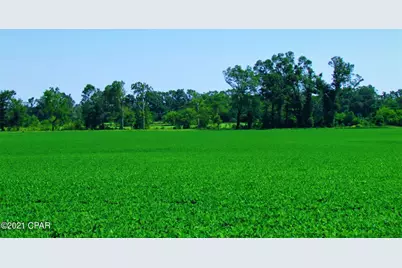 0 Chestnut Lane, Greenwood, FL 32443 - Photo 2