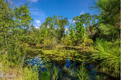 3719 Long Road, Southport, FL 32409 - Photo 56
