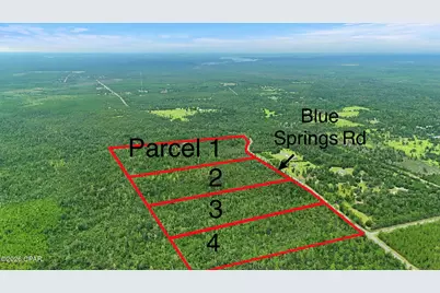 030 Blue Springs Road #Parcel 4, Youngstown, FL 32466 - Photo 2